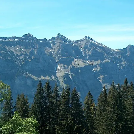 Appartement 361 Bizau